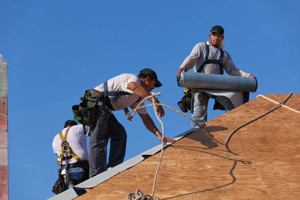 Best Roof Maintenance Services  in Mianna, AR